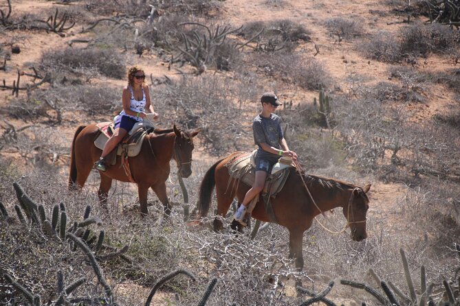 Horseback Riding Experience in Rancho San Cristobal - Quesadillas at Quelele restaurant