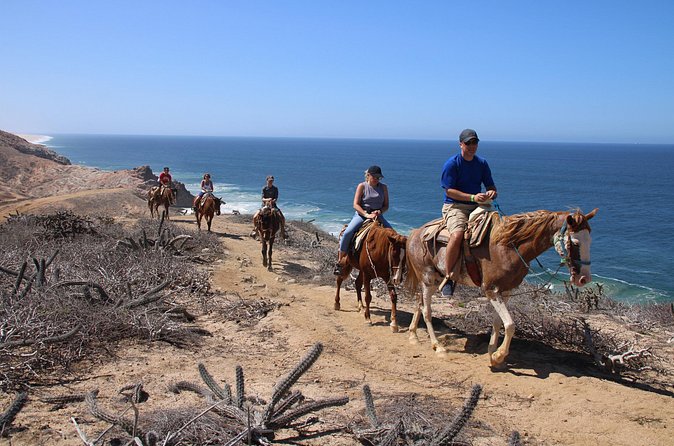 Horseback Riding Experience in Rancho San Cristobal - What the guide and group size mean for you