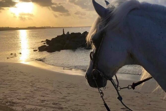 Horseback Riding in Sayulita Through Jungle Trails to the Beach - Guides who help nervous and first-time riders