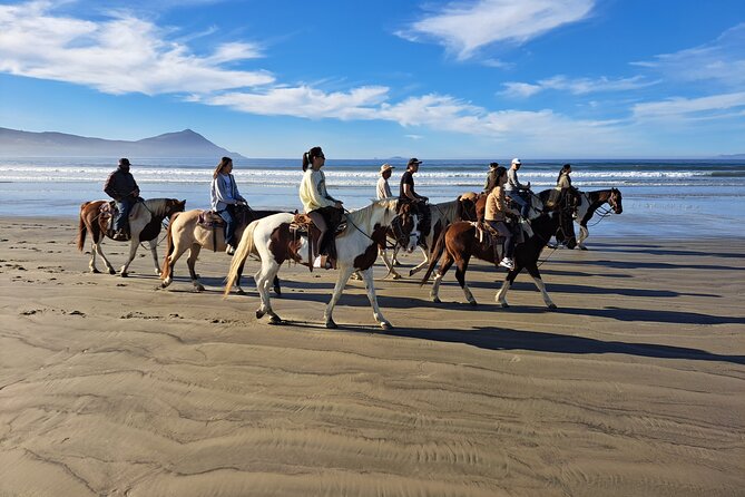 Horseback Riding on the Beach from Ensenada - Ninety Minutes Along the Sand
