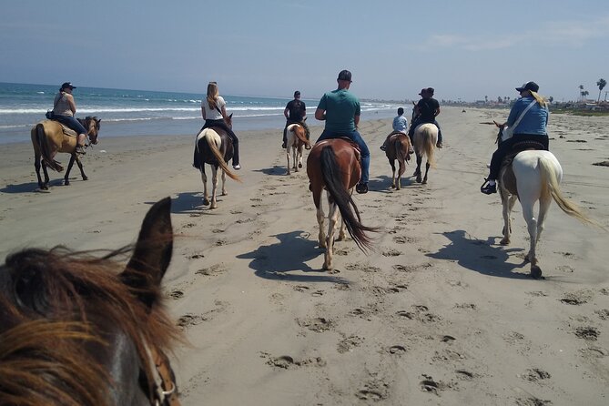 Horseback Riding on the Beach from Ensenada - The Best Moments Are Simple
