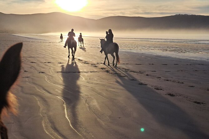 Horseback Riding on the Beach from Ensenada - Group Size, Comfort, and Basic Practicalities