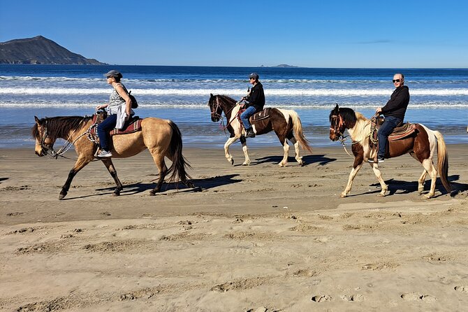 Horseback Riding on the Beach from Ensenada - Who Will Enjoy This Ensenada Horse Ride