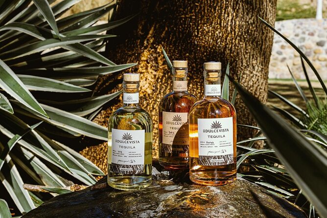 Horseback Riding & Swim: Tequila Tasting, BBQ & Margaritas - The Mascota River swim, when nature cooperates