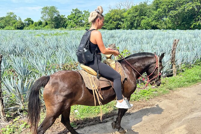 Horseback Riding & Swim: Tequila Tasting, BBQ & Margaritas - La Dulce Vista: tequila, salsa, and a poolside lunch