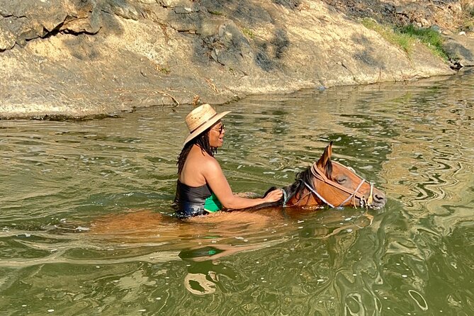 Horseback Riding & Swim: Tequila Tasting, BBQ & Margaritas - Heat, transport, and the parts that may test your patience