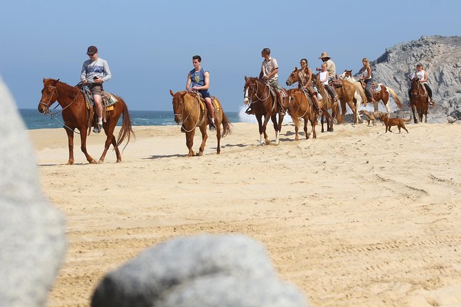 Horseback Riding Tour in Cabo San Lucas - Key points before you saddle up