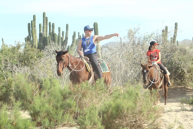 Horseback Riding Tour in Cabo San Lucas - How long will you really ride?