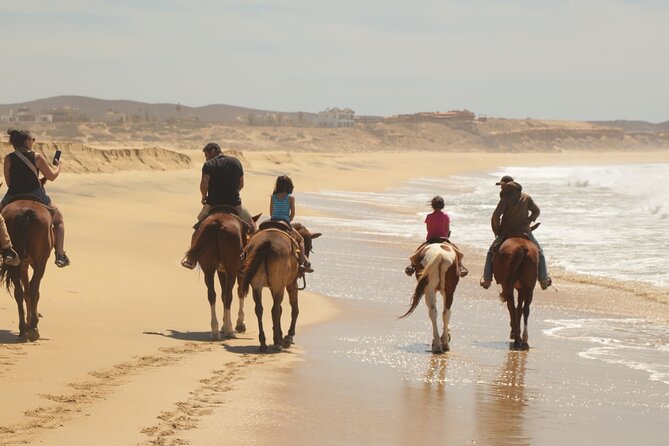 Horseback Riding Tour in Cabo San Lucas - Staff, conservation, and the ranch atmosphere