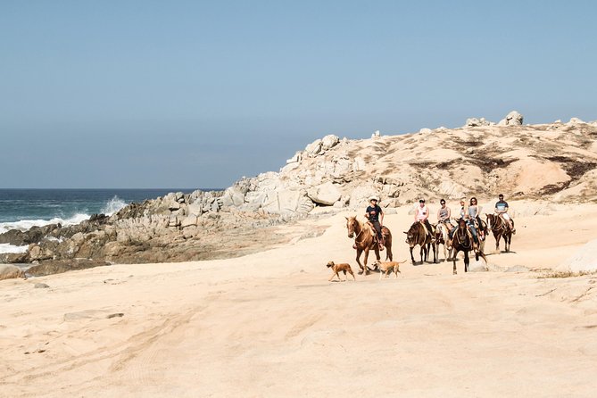 Horseback Riding Tour in Cabo San Lucas - Safety, instruction, and group size