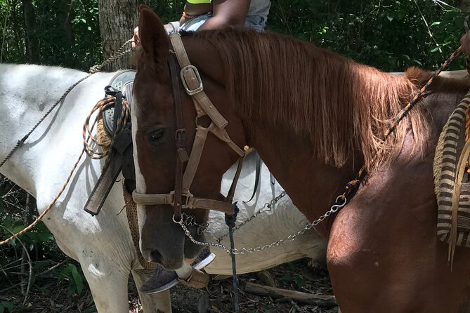 Horseback riding with ATV, zip lines and cenote, lunch and transfer - Lunch is a snack, not a full meal