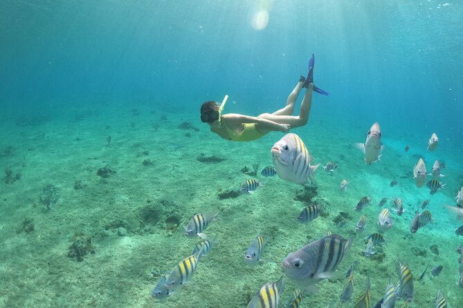 Invisible Boat Snorkeling Tour - The snorkeling stop: fun, but keep your expectations modest