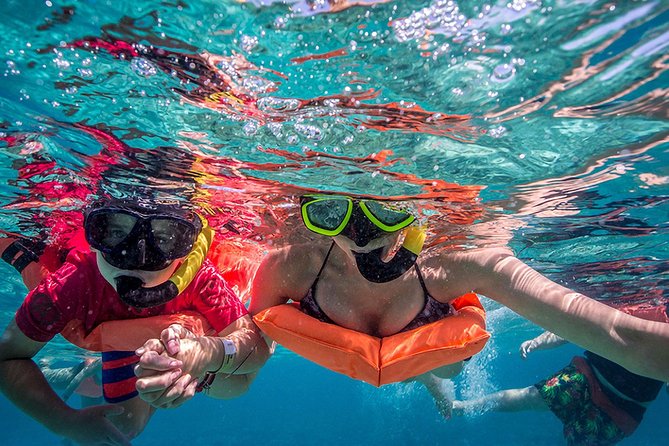 Isla Contoy and Isla Mujeres Tour with Snorkeling from Cancun - Isla Contoy is the real reason to go
