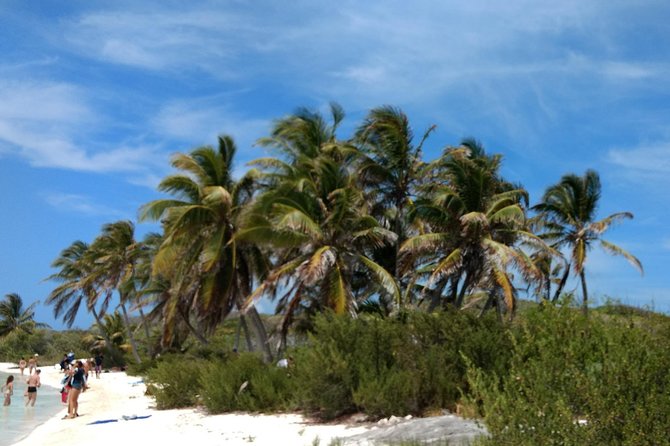 Isla Contoy and Isla Mujeres Tour with Snorkeling from Cancun - Ixlache Reef brings the first water activity