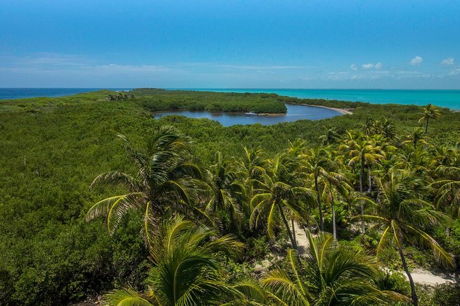 Isla Contoy and Isla Mujeres Tour with Snorkeling from Cancun - Isla Mujeres is a short, commercial contrast