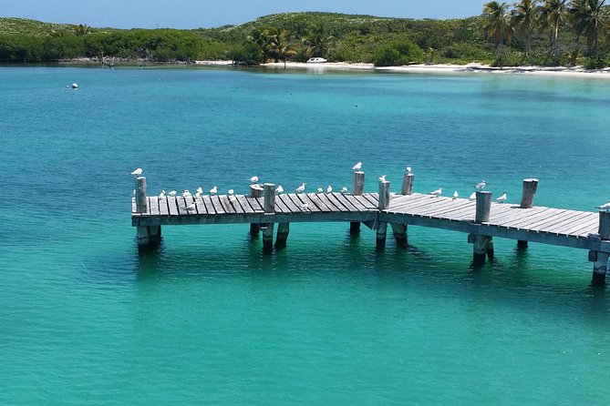 Isla Contoy and Isla Mujeres Tour with Snorkeling from Cancun - Punta Sam starts with a light breakfast