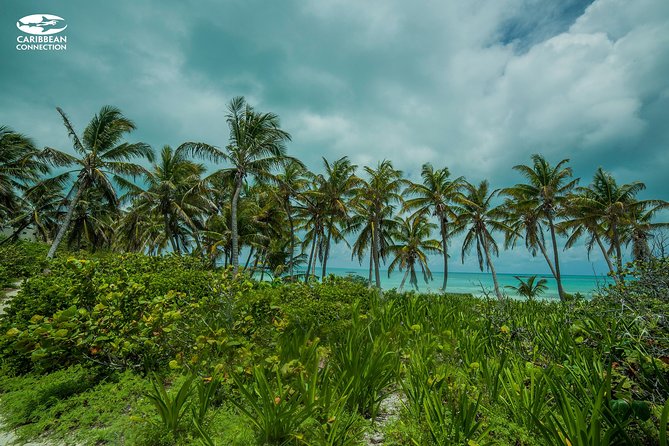 Isla Contoy Eco Adventure - Arriving at Contoy’s protected shore