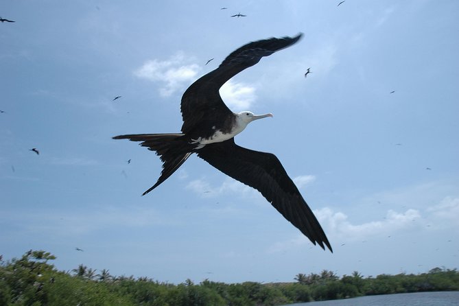 Isla Contoy Eco Adventure - The ride home, where the tour changes character