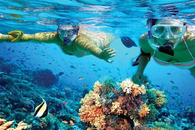 Isla Mujeres Catamaran, Open Bar & Optional Buffet and pick up - Reef snorkeling at Arrecife El Meco