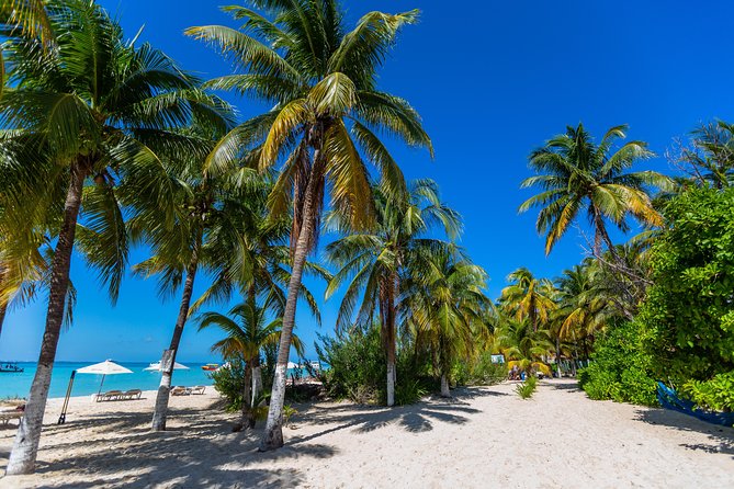Isla Mujeres Catamaran, Open Bar & Optional Buffet and pick up - Exploring the center of Isla Mujeres