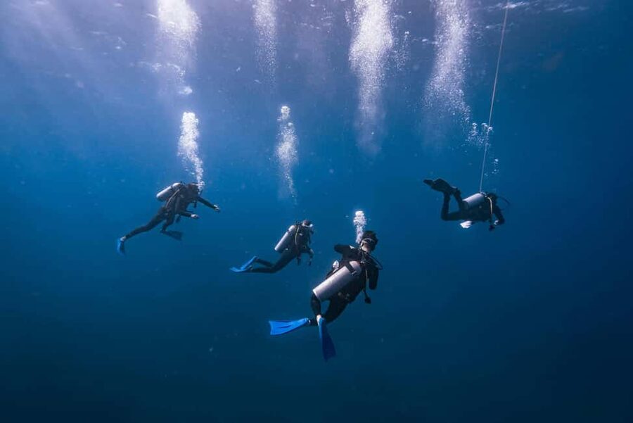 Isla Mujeres: Catamaran Ride with Open Bar, Snorkeling, and Lunch - Key points to know before booking