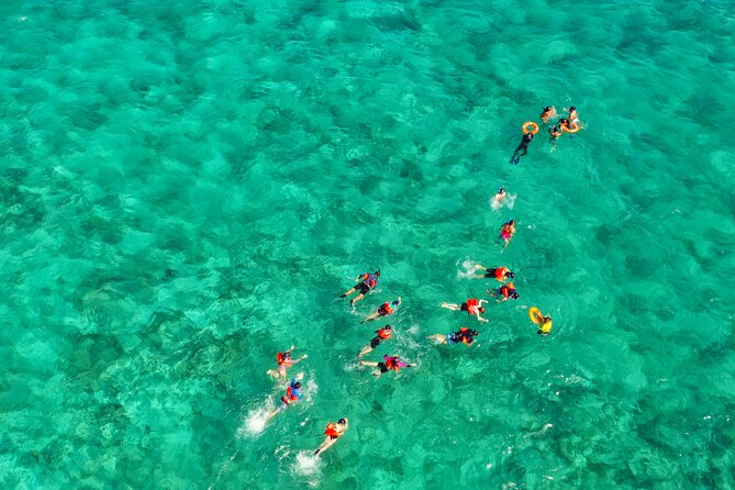 Isla Mujeres Island and Snorkeling Tour - Buffet lunch, beach club time, and the value of included drinks