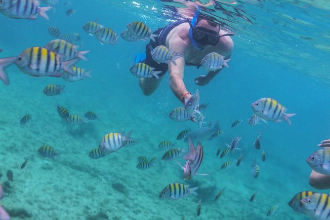 Isla Mujeres Luxury Sailing: Adults Only or Family Friendly - What the $129 price really covers