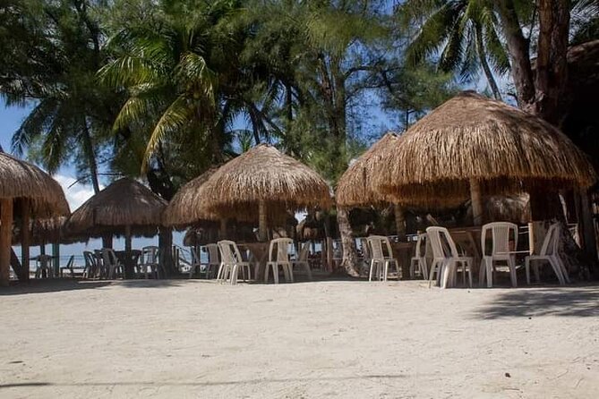Isla Mujeres Premium Tour in Private Catamaran with Lunch - Should you book the Isla Mujeres catamaran tour?