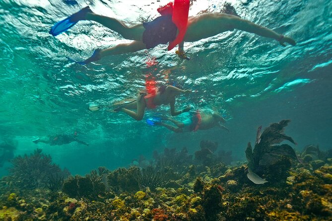 Isla Mujeres, Snorkel, Lunch & Pick Up from Cancun to P.Morelos - El Meco Reef: good possibilities, uneven conditions