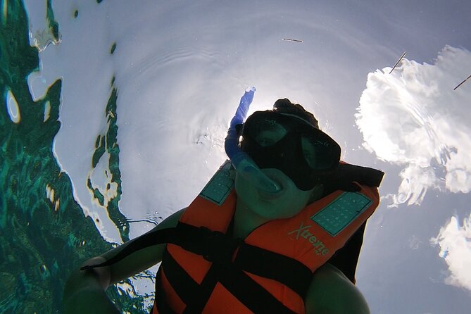 Isla Mujeres: Snorkeling Adventure at the Underwater Museum - What this Isla Mujeres snorkeling tour is really like