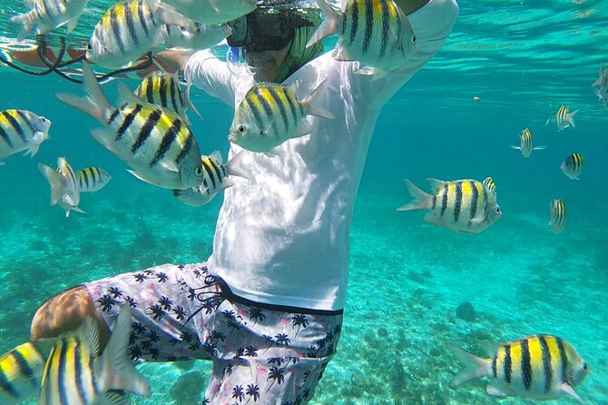 Isla Mujeres: Snorkeling Adventure at the Underwater Museum - MUSA: sculptures with fish living around them