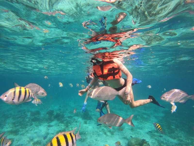 Isla Mujeres: Snorkeling Adventure at the Underwater Museum - Safety, swimming ability, and weather