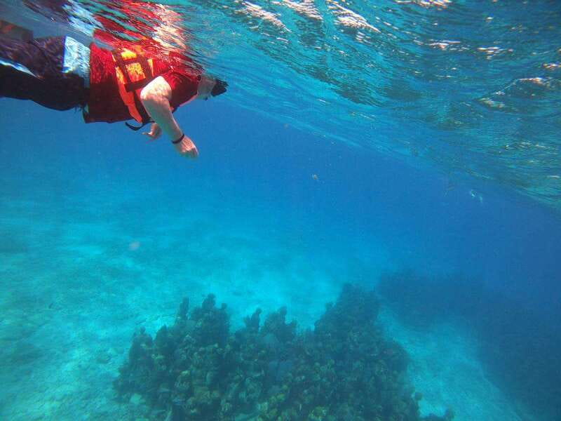 Isla Mujeres: Snorkeling Adventure at the Underwater Museum - Is the $57 price good value?