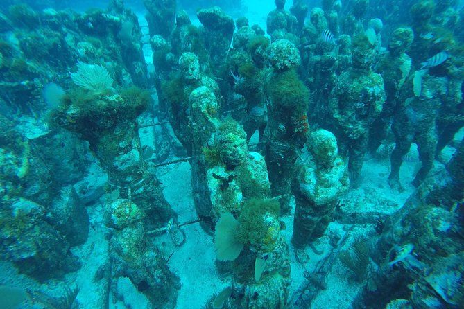 Isla Mujeres Snorkeling Tour Adventure - The afternoon schedule and meeting point
