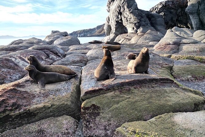 Island Tour with Snorkeling and Picnic - A boat ride into Loreto Bay National Park
