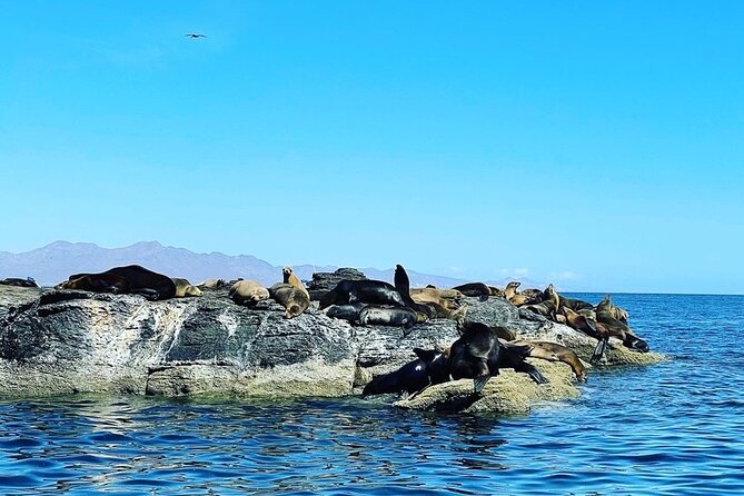 Island Tour with Snorkeling and Picnic - Two hours on the beach with lunch and shade