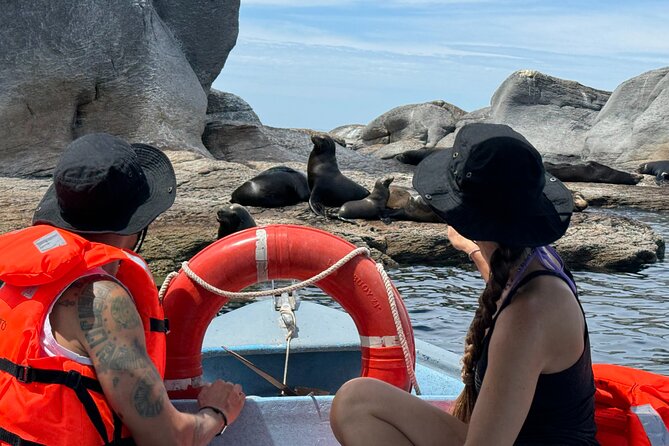 Island Tour with Snorkeling and Picnic - What the $116.50 price really covers