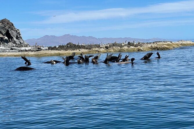Island Tour with Snorkeling and Picnic - Weather, safety, and changing plans