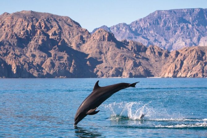 Island Tour with Snorkeling and Picnic - Who will enjoy this Coronado Island outing