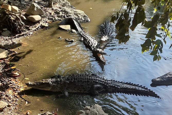 Ixtapa Island Tour - Playa Linda adds wildlife before the beach