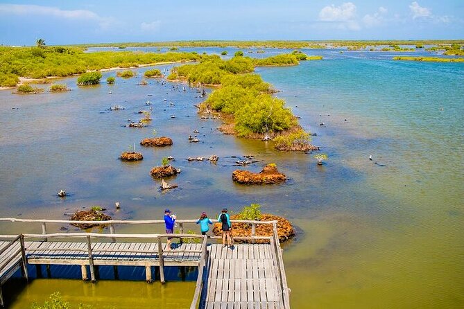 Jeep Safari All Inclusive Private Tour - A short pause at Playa San Martín