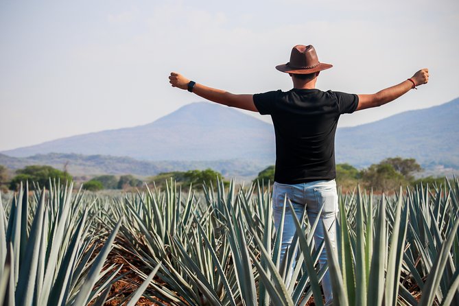 José Cuervo Tequila Day Experience from Guadalajara - From Guadalajara to the town of Tequila