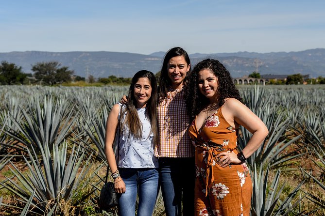 José Cuervo Tequila Day Experience from Guadalajara - Is $107 a good value?