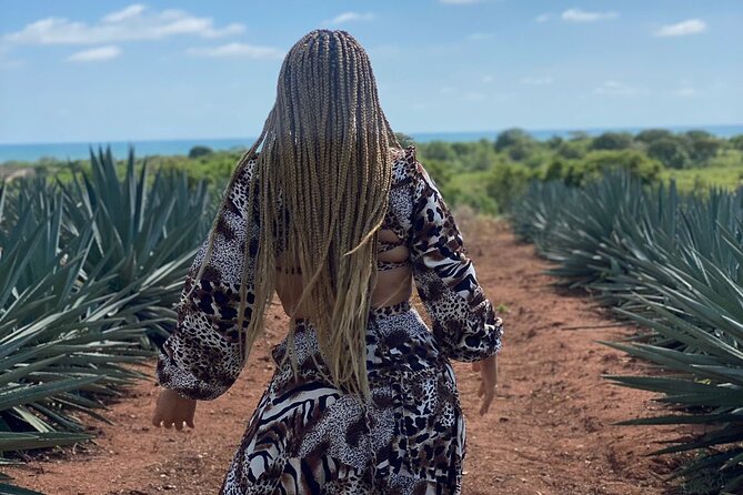 Jungle and beach ATV tour + lunch + tequila tasting - The Pacific beach is the payoff