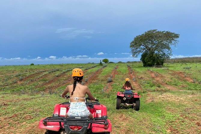Jungle and beach ATV tour + lunch + tequila tasting - Lunch at a working Mexican ranch