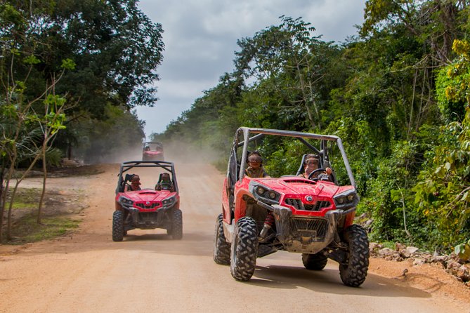 Jungle Buggy Tour from Playa del Carmen Including Cenote Swim - A jungle ride with a cool-water finish