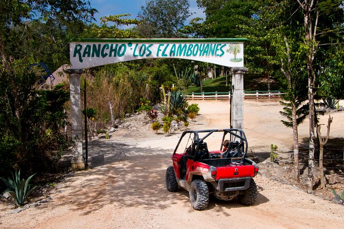 Jungle Buggy Tour from Playa del Carmen Including Cenote Swim - What the jungle route feels like
