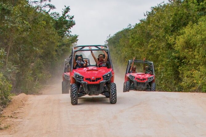Jungle Buggy Tour from Playa del Carmen Including Cenote Swim - A small-group outing, with one detail to confirm