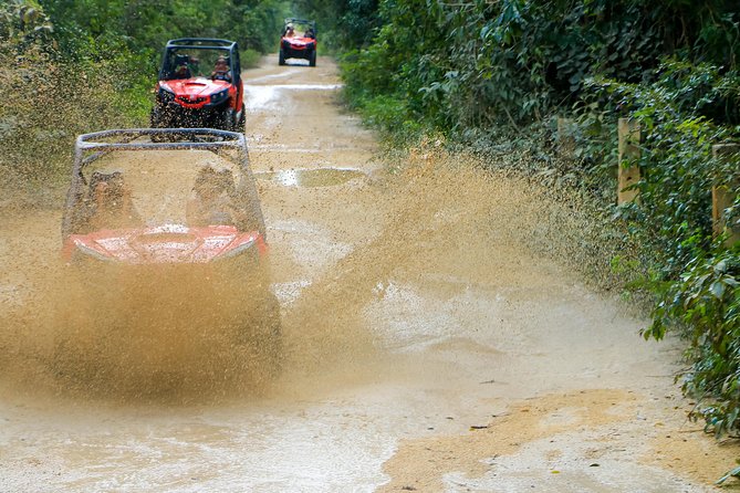 Jungle Buggy Tour from Playa del Carmen Including Cenote Swim - What the $110.29 price includes