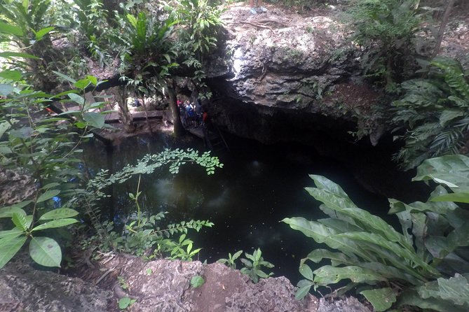Jungle Jeep Adventure to Mayan Caves, Cenote and Snorkel - A tequila lesson that is also a sales stop